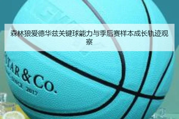 森林狼爱德华兹关键球能力与季后赛样本成长轨迹观察
